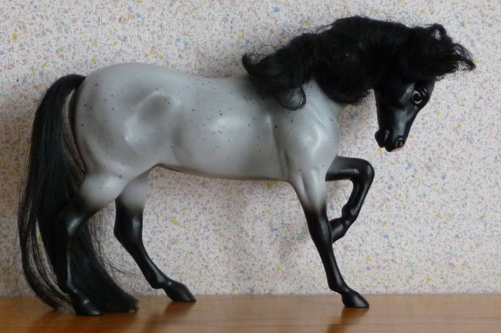 BlueBerry.jpg Blue Berry image by Fjordifan BlueBerry.jpg Blue Berry image by Fjordifan