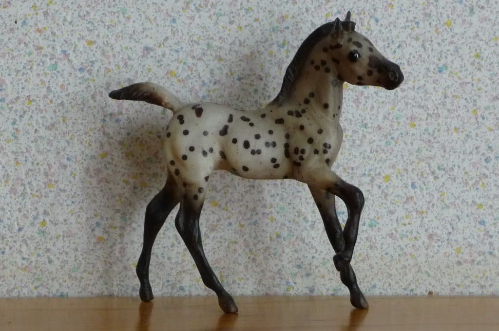 Celine.jpg Celine image by Fjordifan Celine.jpg Celine image by Fjordifan