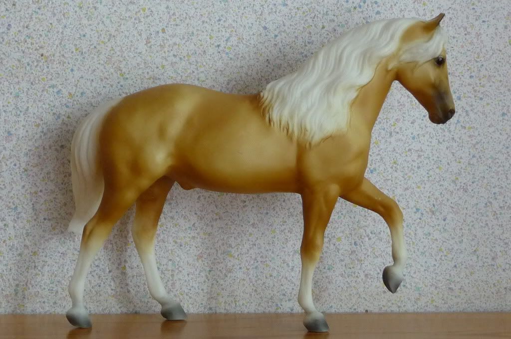 Tammy.jpg Tammy image by Fjordifan Tammy.jpg Tammy image by Fjordifan