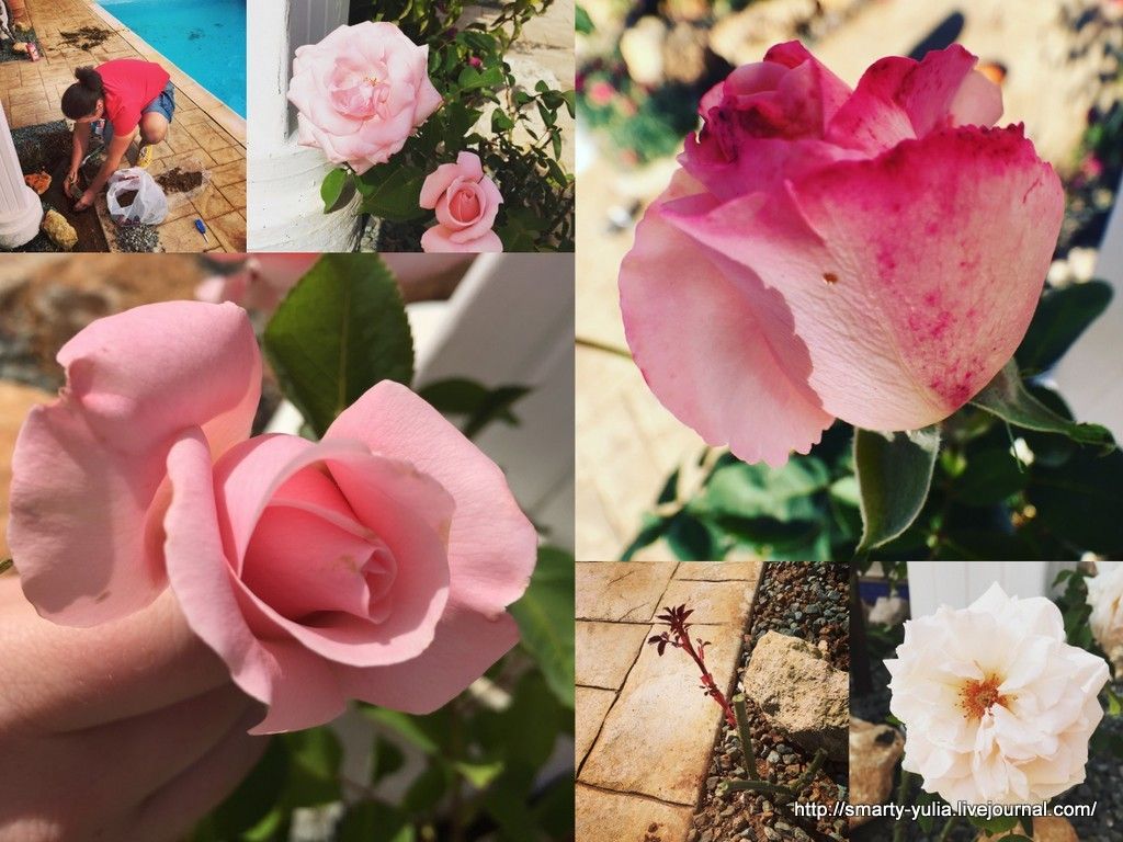 photo House1.jpg