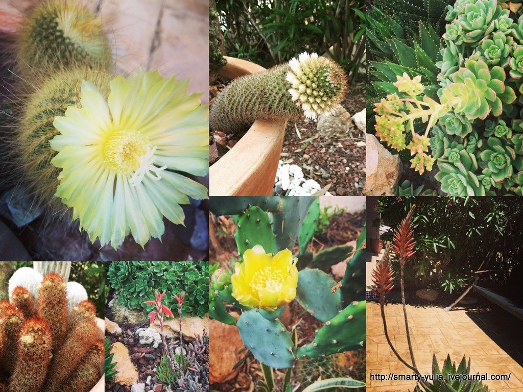 photo House2.jpg