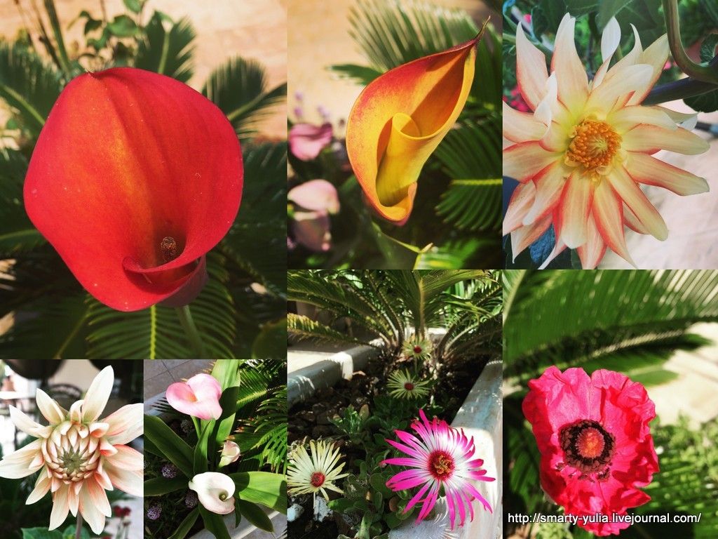 photo House7.jpg