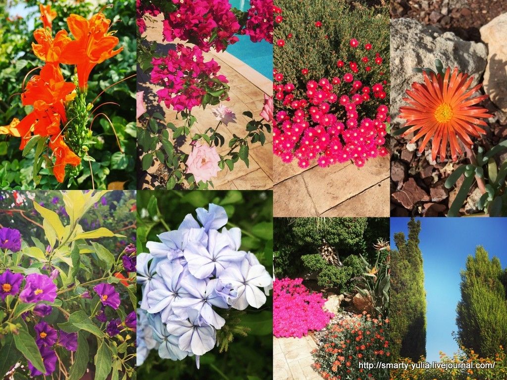 photo House9.jpg