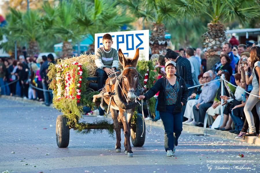 cyprus,anesterion