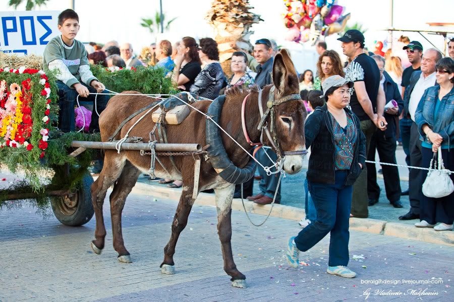 cyprus,anesterion