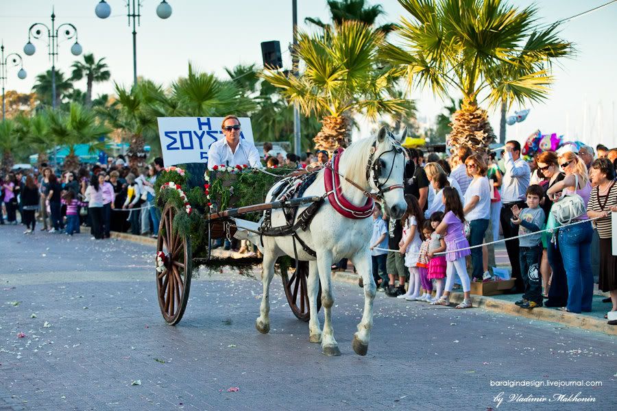 cyprus,anesterion