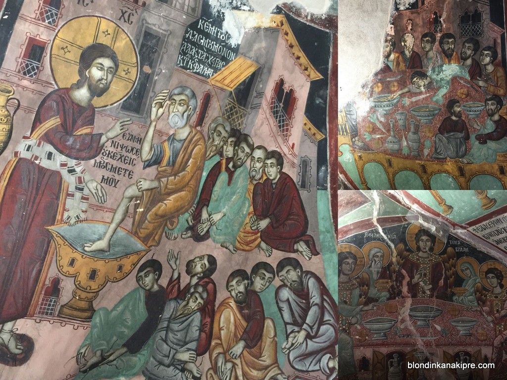 photo 12.jpg
