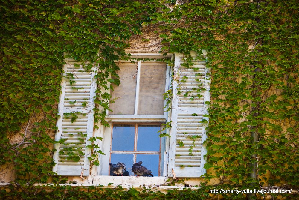 photo 20130710-StRemy_Moulin44of96.jpg