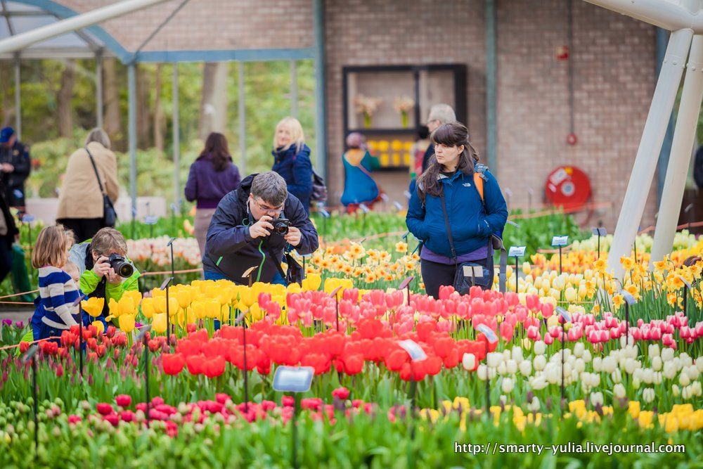 photo 2013_04_12_Keukenhof-0081.jpg