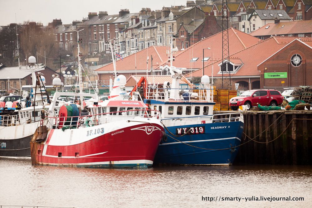 photo 2013_03_19_Whitby_Robinhood_Scarborough-0017.jpg