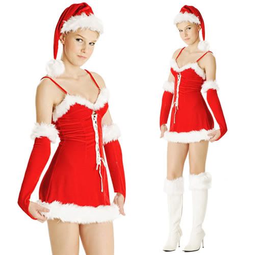 Sexy Miss Santa Costume