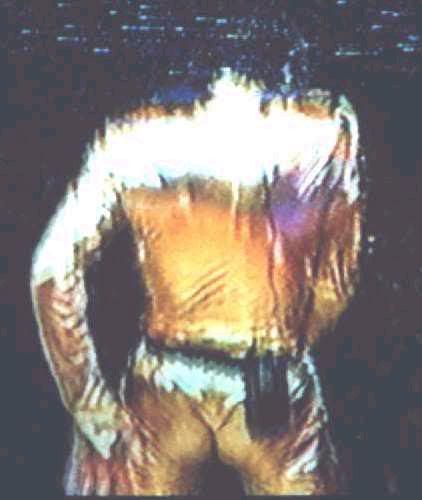 bootielicious110tr2.jpg