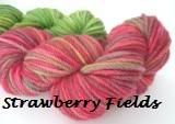 *SALE* "Strawberry Fields" on Beaverslide 3-ply: 100 g