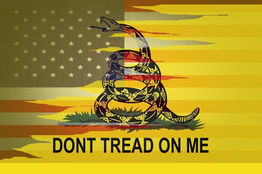 CustomGadsden.jpg