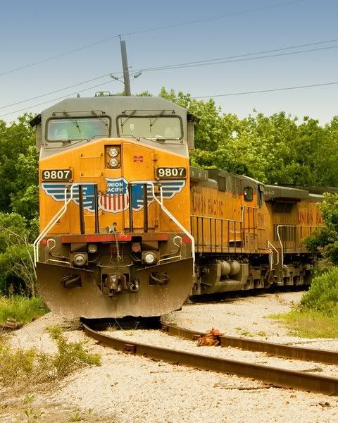 IMAGE: http://i632.photobucket.com/albums/uu45/mj_Hession/POTN/861658984_XdqGG-L.jpg