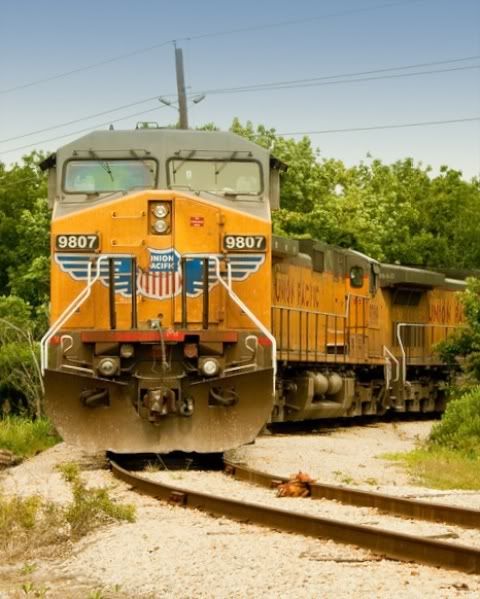 IMAGE: http://i632.photobucket.com/albums/uu45/mj_Hession/POTN/861658984_XdqGG-L4.jpg