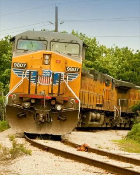 IMAGE: http://i632.photobucket.com/albums/uu45/mj_Hession/POTN/861658984_XdqGG-L5.jpg