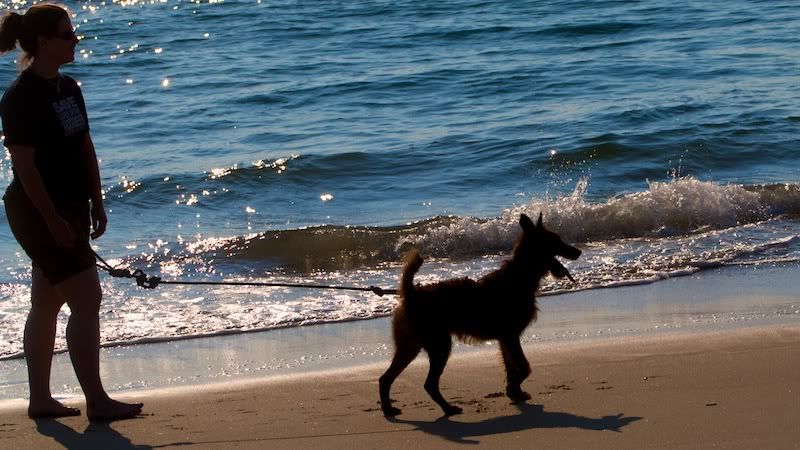 IMAGE: http://i632.photobucket.com/albums/uu45/mj_Hession/Rowan/IMG_6516.jpg