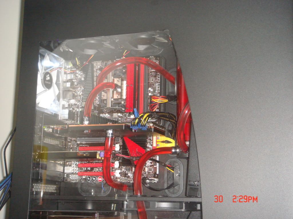 DSC02750.jpg