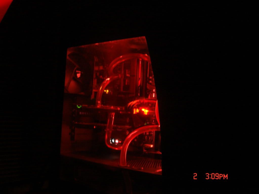 DSC02752.jpg