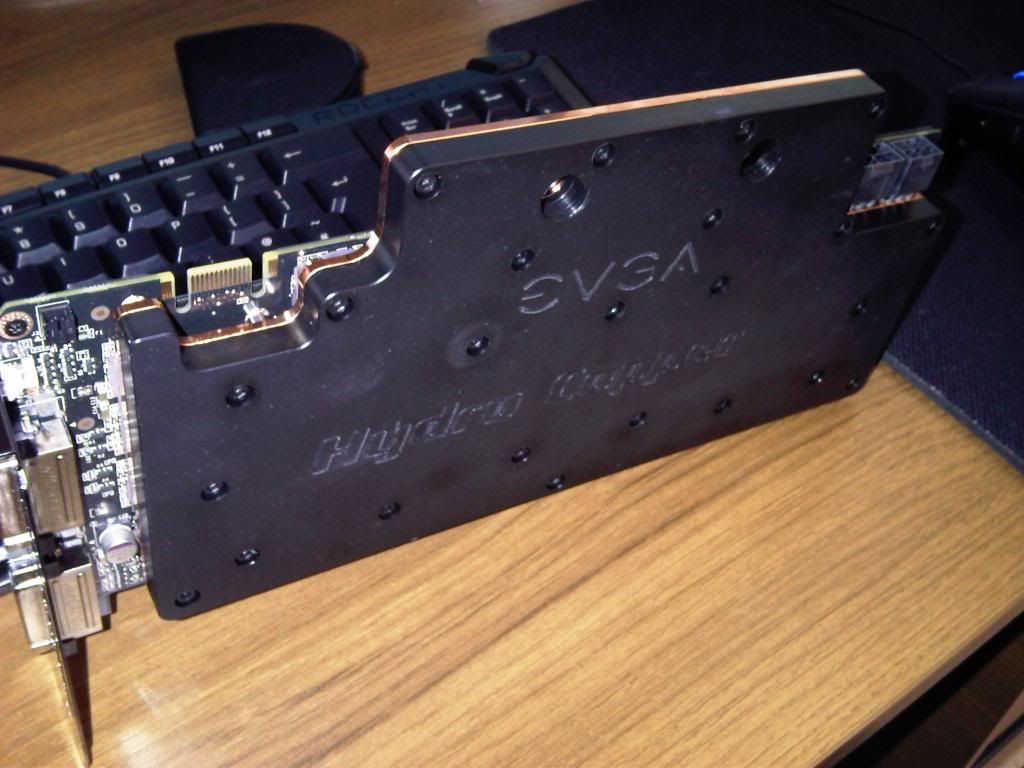 IMG00158-20100212-1037.jpg