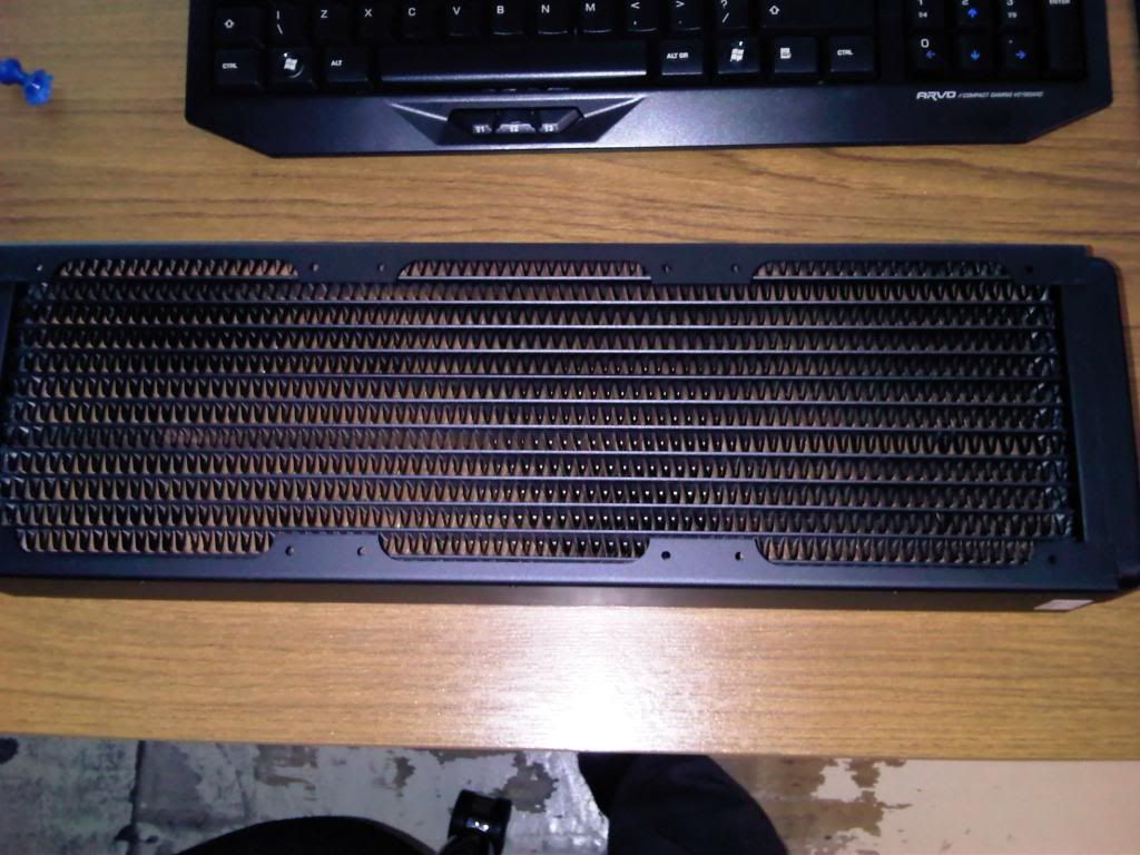 IMG00163-20100212-1039.jpg