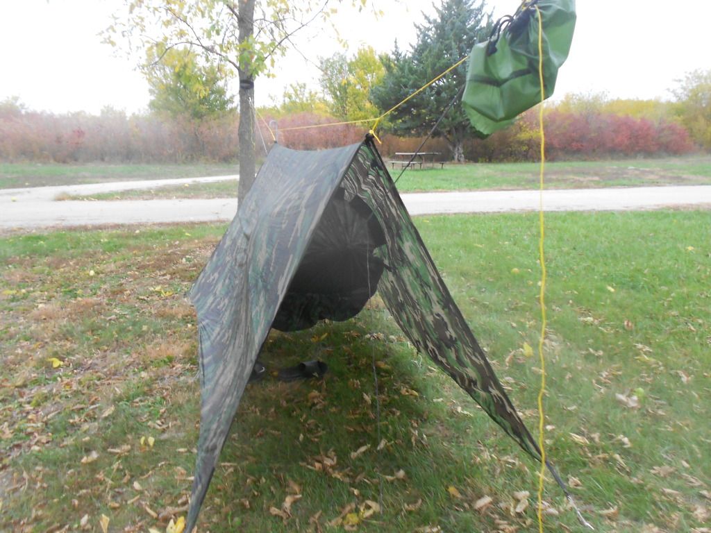 [Linked Image from i632.photobucket.com]