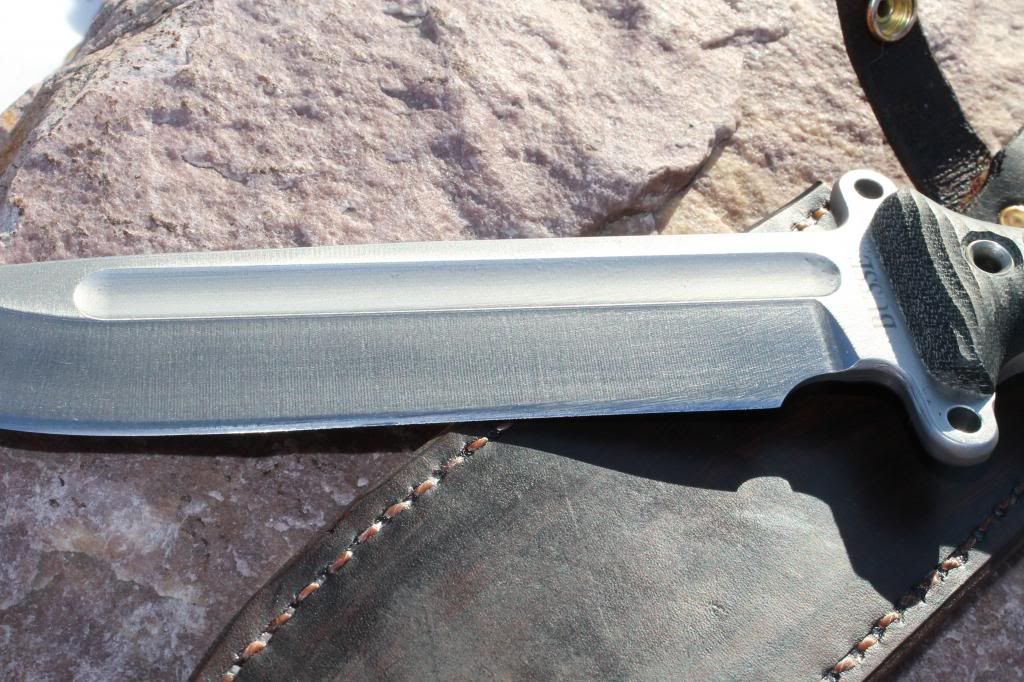 [Linked Image from i632.photobucket.com]