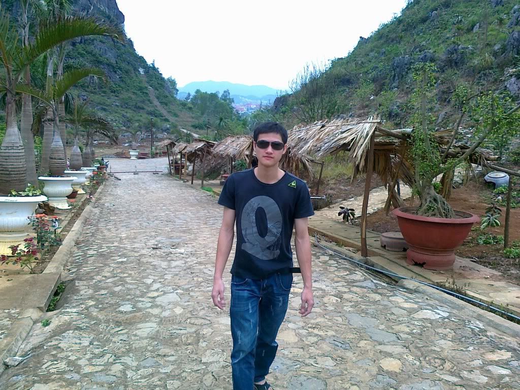 Hình ảnh