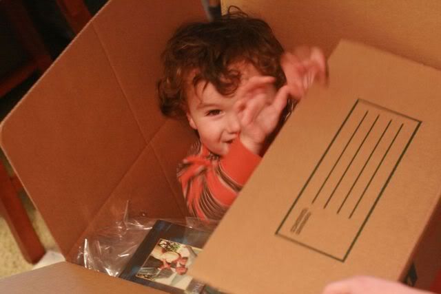 boy in box 4