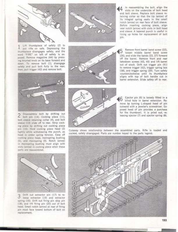 SAVAGEMODEL1919p2.jpg