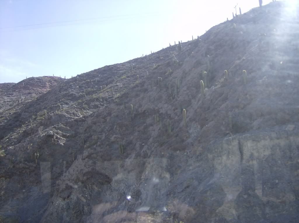 Mi viaje por Tilcara (Fotos) Mi viaje por Tilcara (Fotos)