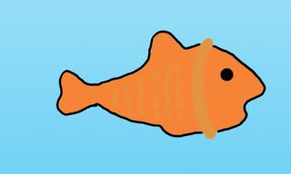 Fish Pictures, Images and Photos