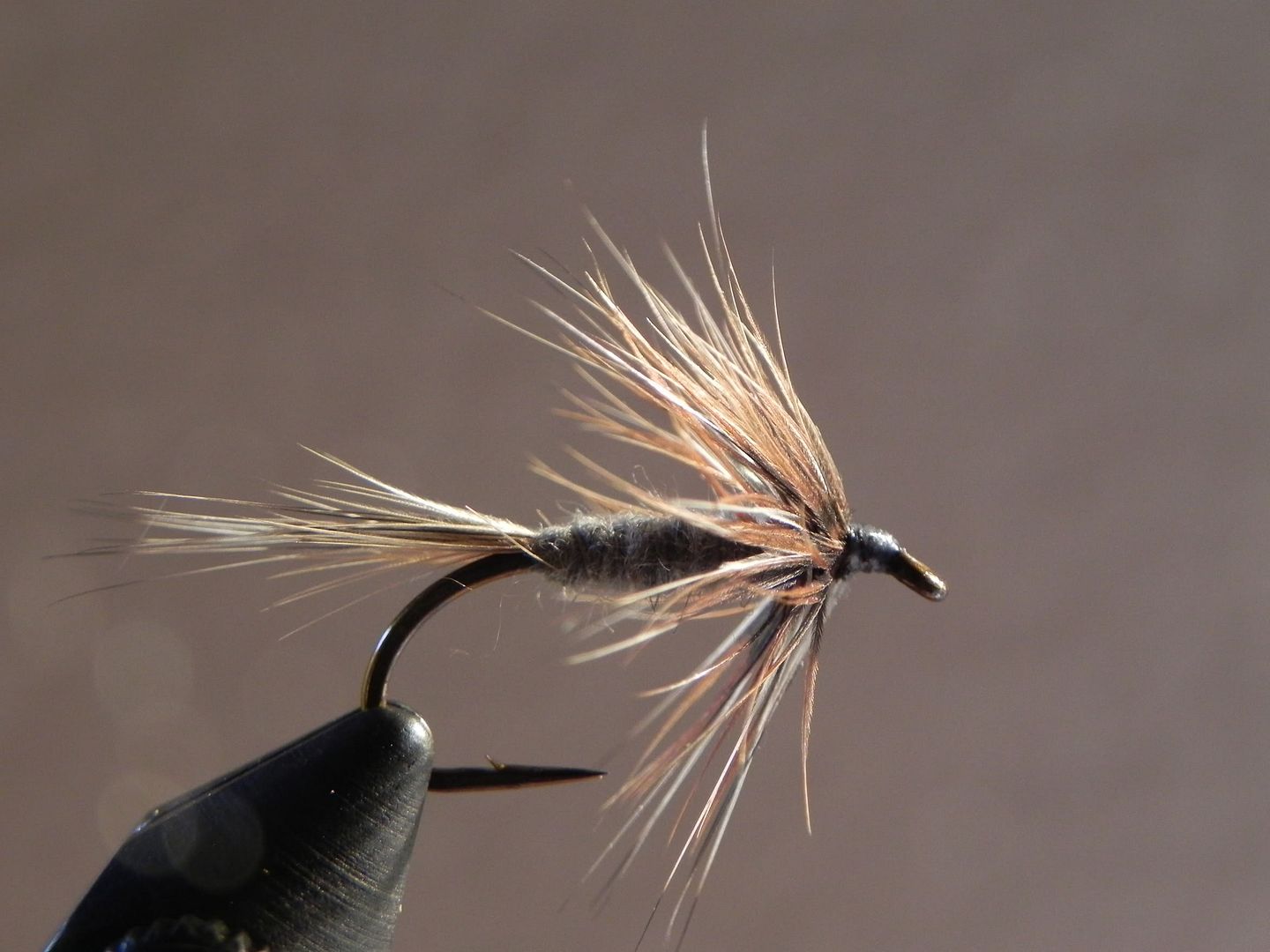 Adams Wet Fly - Fly Tying - Maine Fly Fish