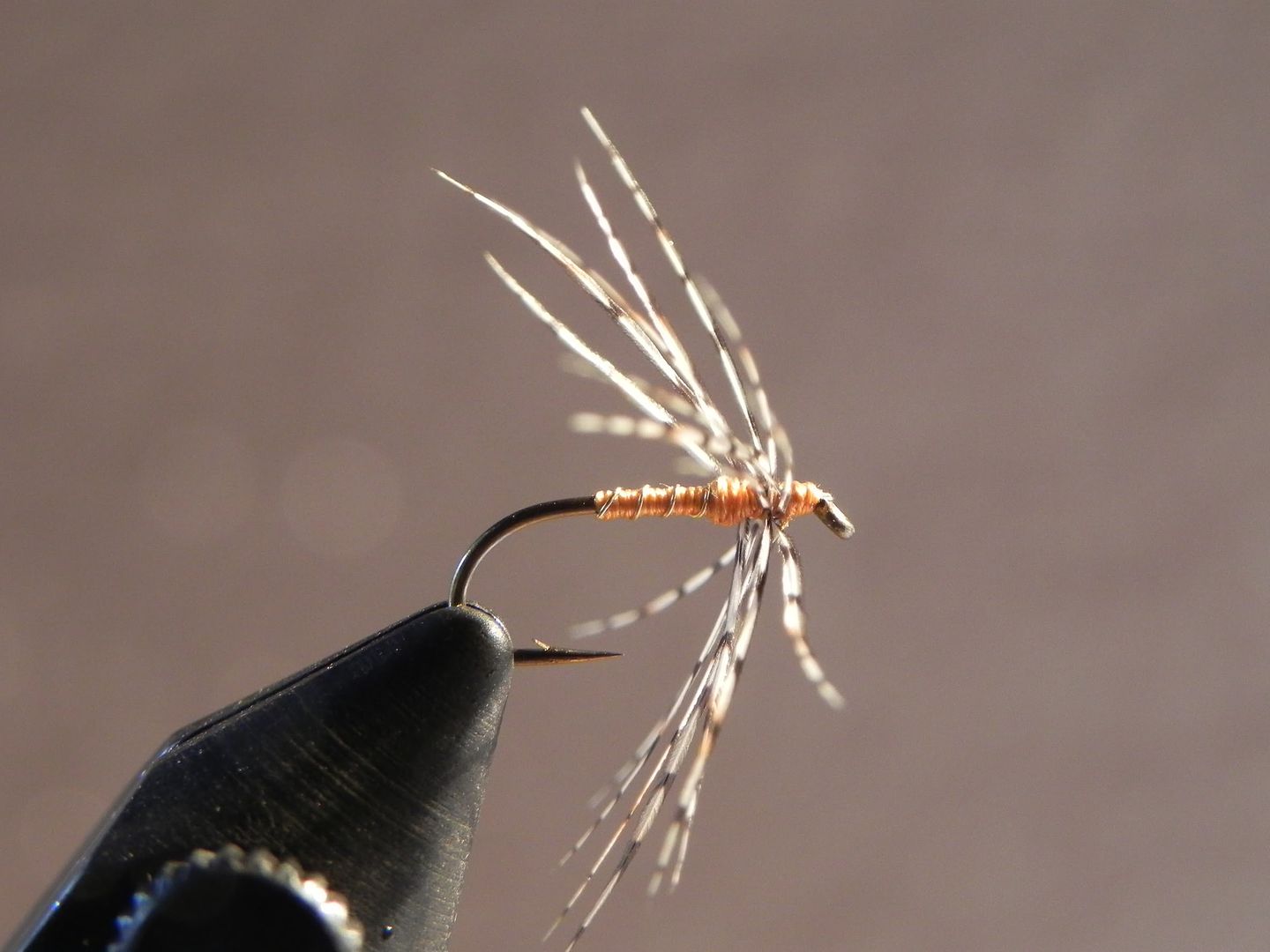 Partridge & Orange - Fly Tying - Maine Fly Fish