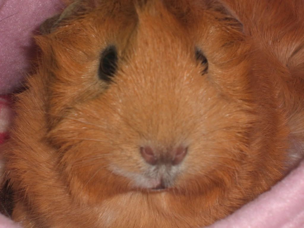 DSCF0869.jpg