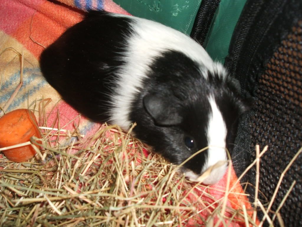 DSCF0884.jpg