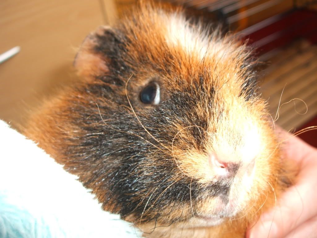 DSCF0887.jpg