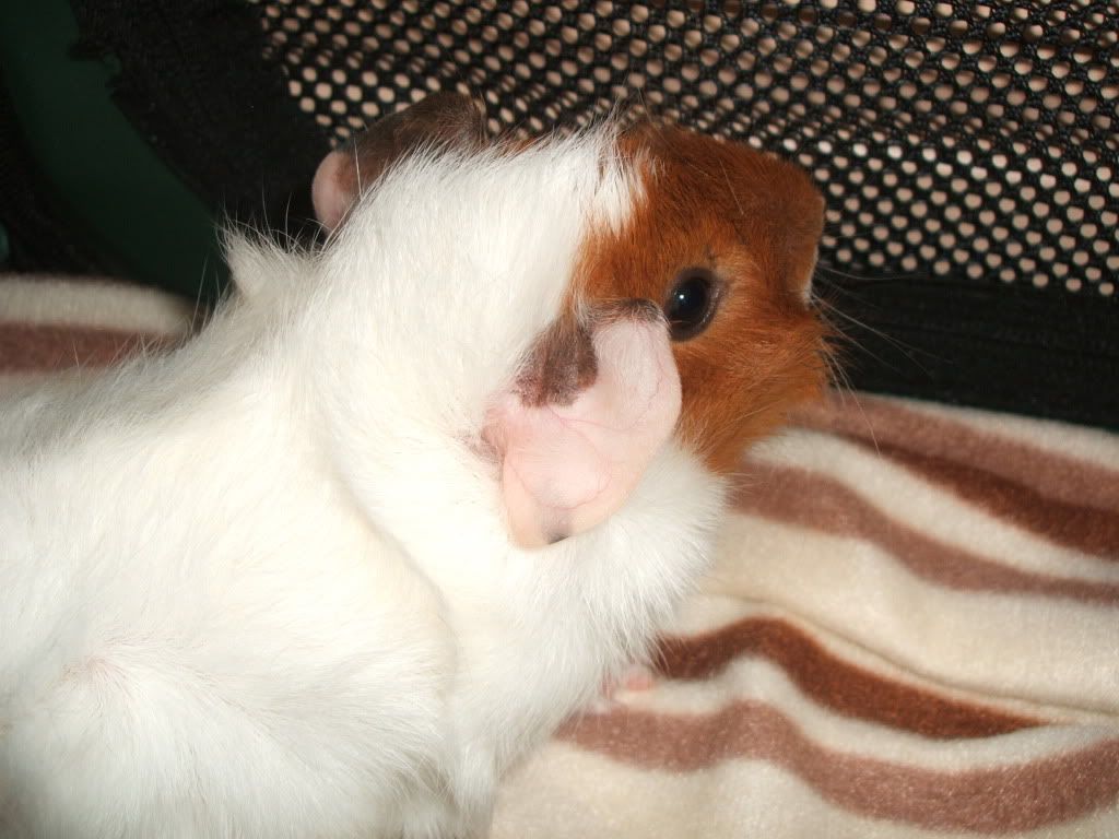 DSCF0922.jpg