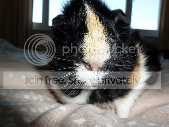 George-1.jpg