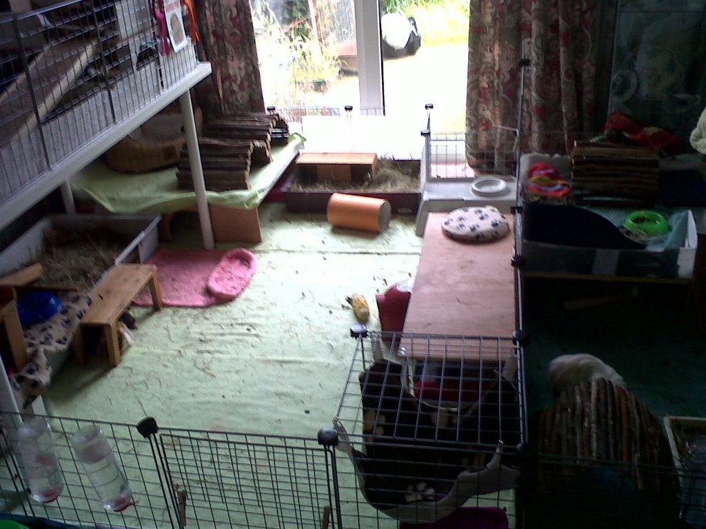 IMG00088-20121013-1456.jpg