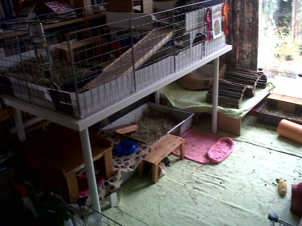 IMG00089-20121013-1456.jpg