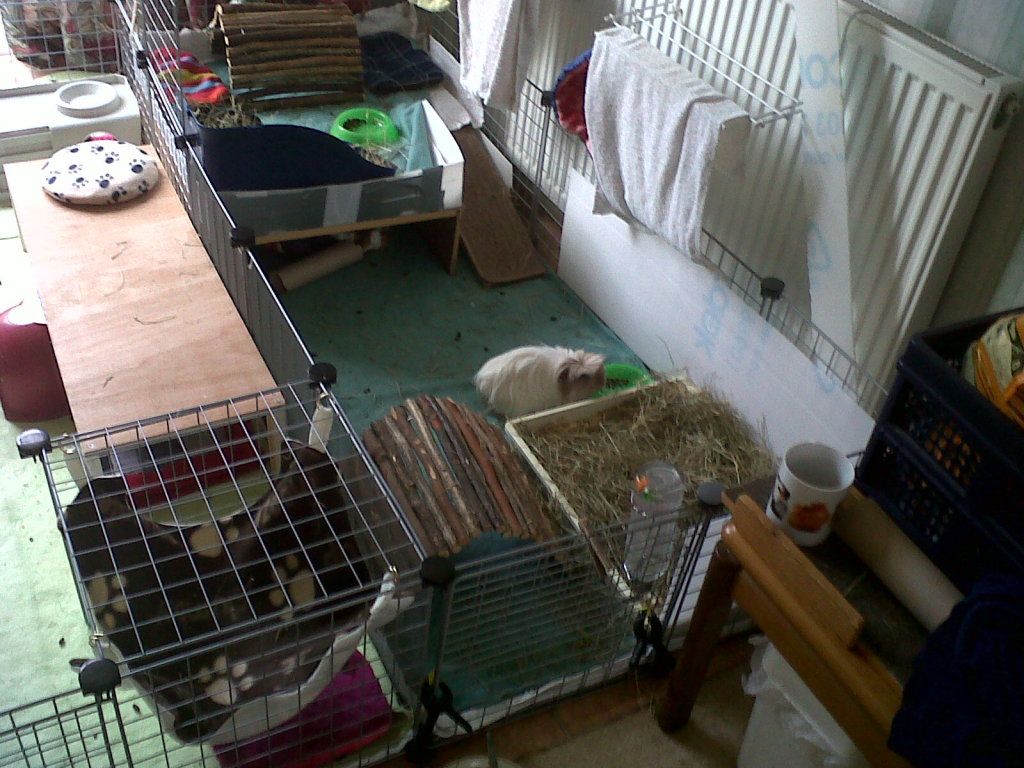 IMG00090-20121013-1456.jpg