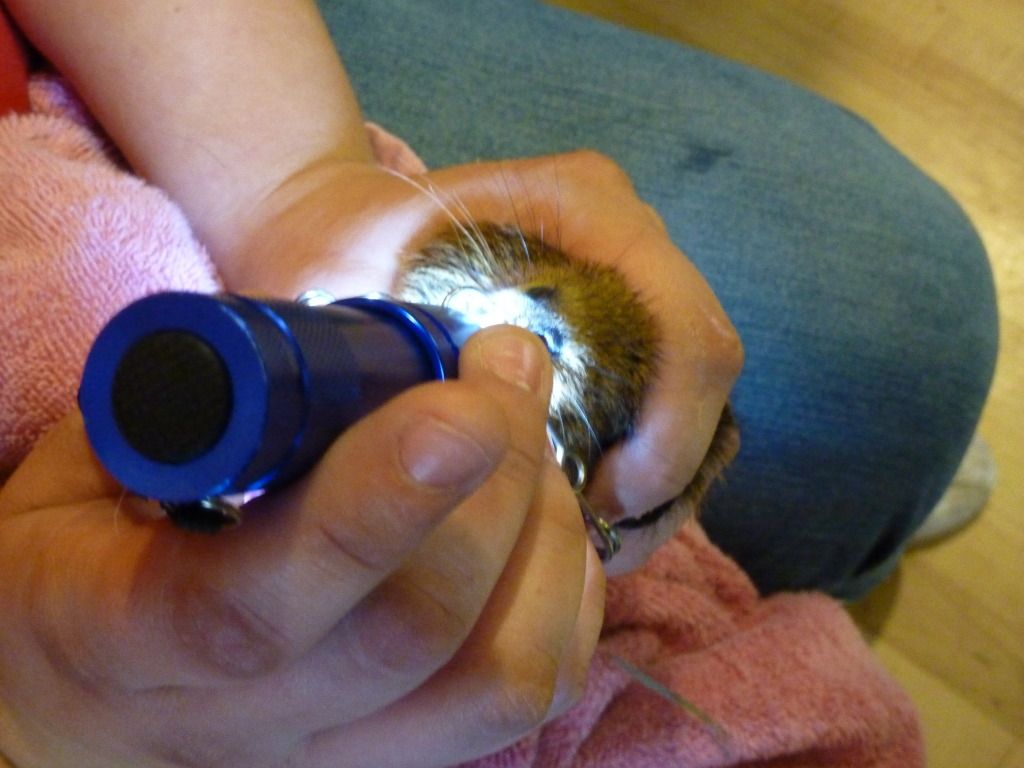 P1020490.jpg