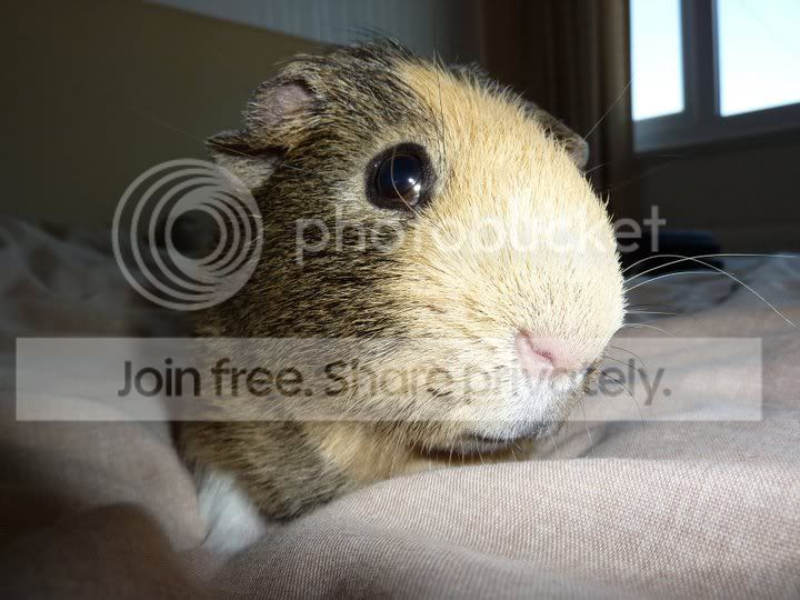 Truffle-1.jpg