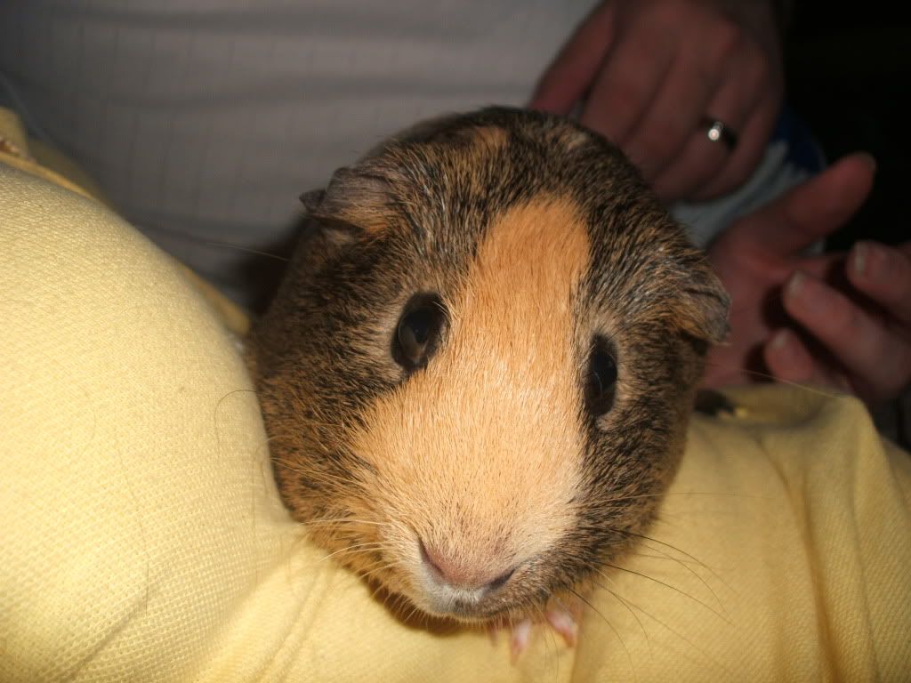 Truffle.jpg