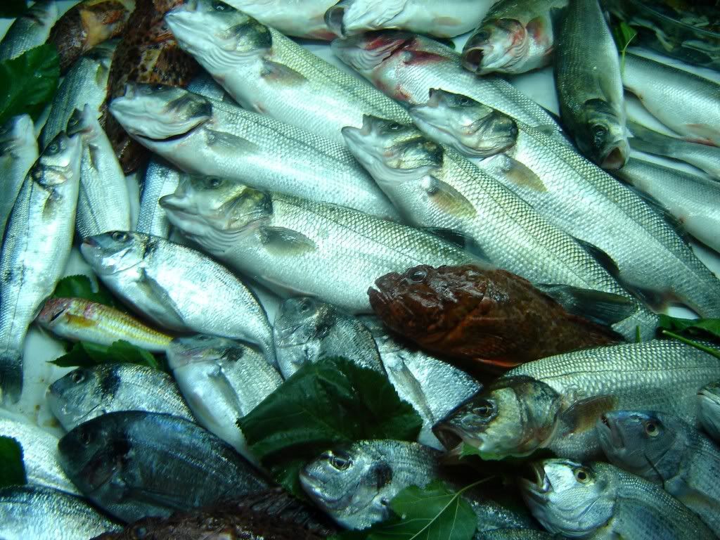baliklokantasi11.jpg